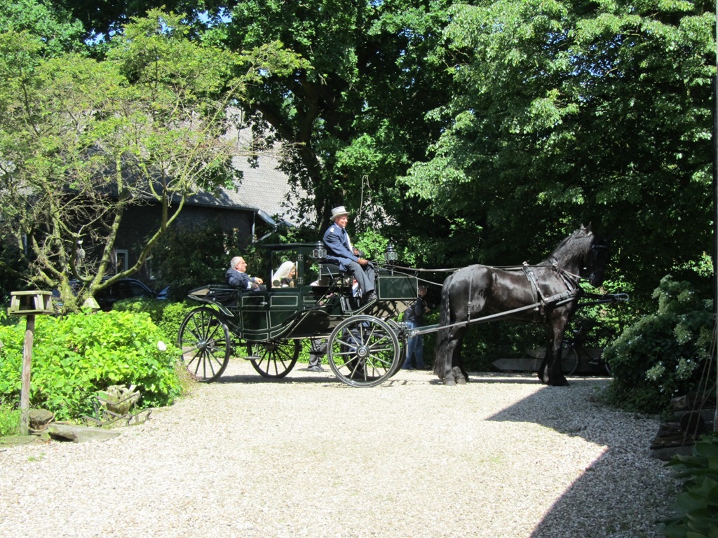 Bruidspaar in een zwarte koets met Fries paard op de oprijlaan van Landgoed Poelwijk