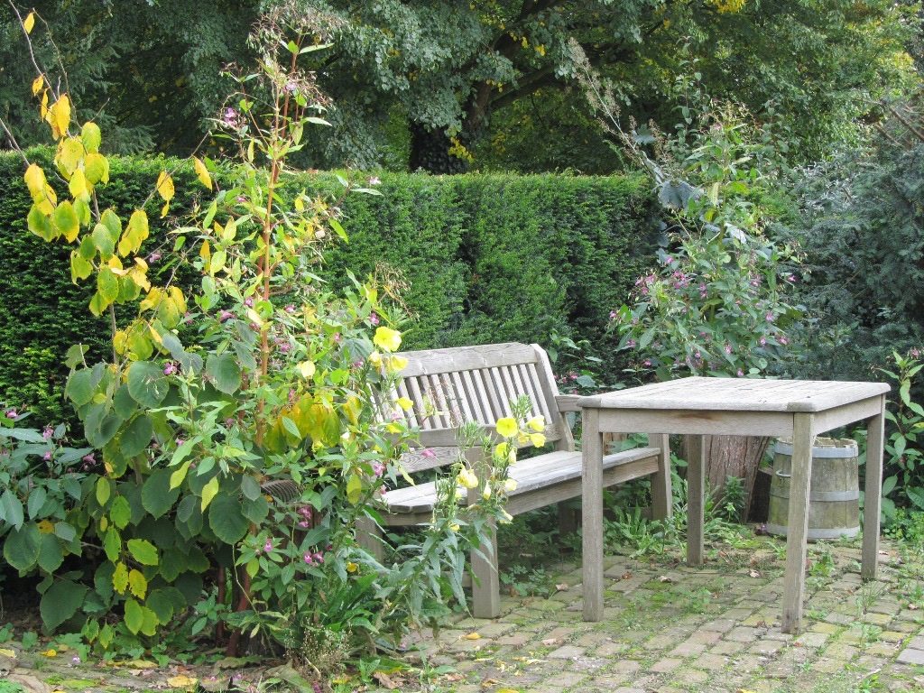 Houten bank en tafel op een terras tussen de hagen van Landgoed Poelwijk