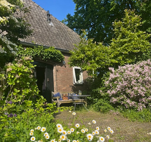 Studio Zuidkant: De ingang van Studio Zuidkant, met eigen terras tussen de bloemen
