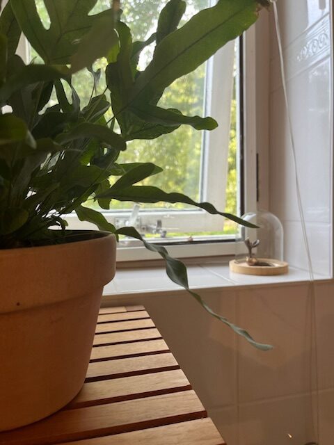 Studio Zuidkant: Detail van het badkamerraam